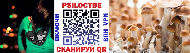 мега маркетплейс  Харовск  Псилоцибиновые грибы Cubensis 